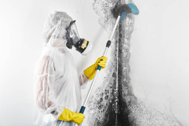 Best Mold Prevention Services  in Thiensville, WI