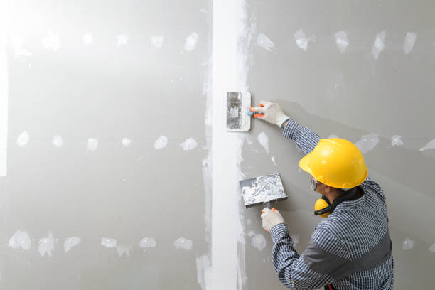 Best Mold Odor Removal Services  in Thiensville, WI
