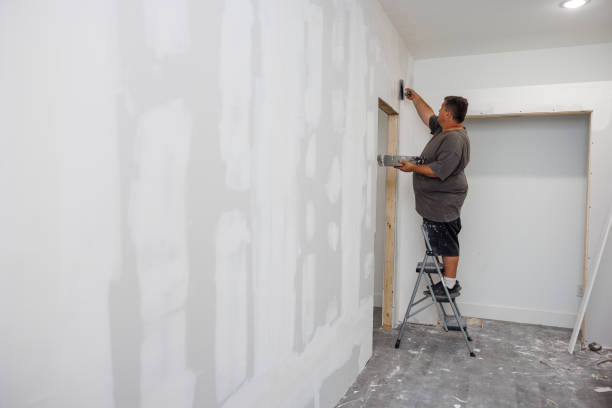 Best Mold Prevention Services  in Thiensville, WI