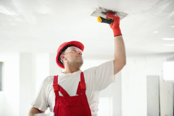 Best Mold Removal for HVAC Installations  in Thiensville, WI