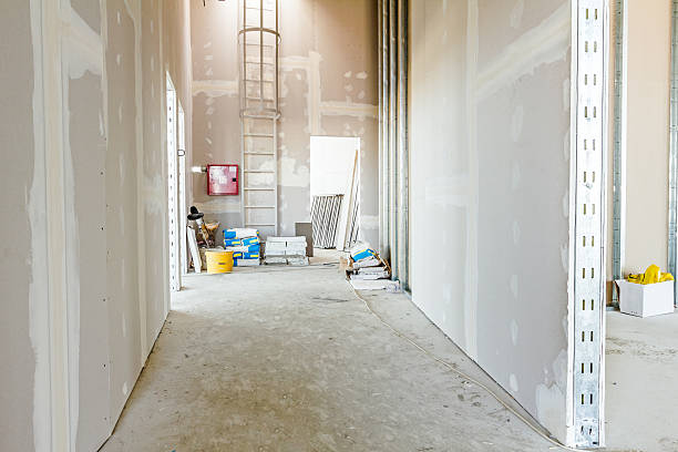 Best Crawl Space Mold Remediation  in Thiensville, WI