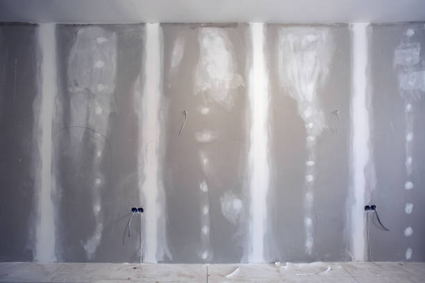 Best Commercial Mold Inspection  in Thiensville, WI
